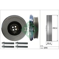 Schaeffler INA 544 0603 20 Riemenscheibe, Kurbelwelle