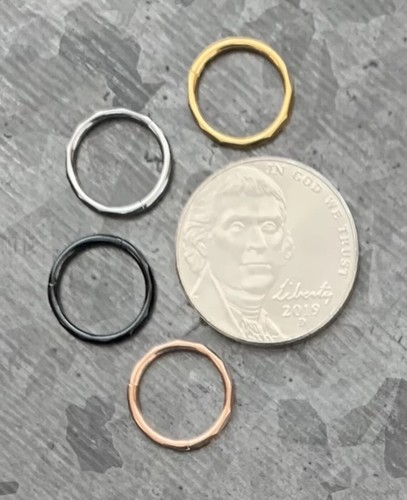 1pc Faceted Hinged Segment Ring Septum Clicker Helix PVD Implant Grade Titanium - Picture 2 of 8
