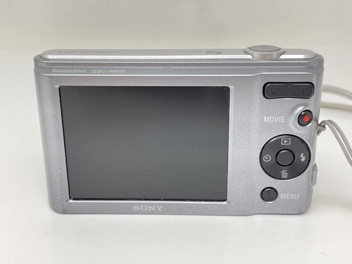 Amazon.com : Sony Cyber-Shot DSCW810 20.1MP Digital Camera