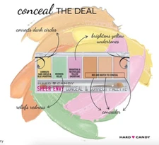 Lot of 2 ~ HARD CANDY Sheer Envy Conceal & Corrector Palette ~ Light Medium #941