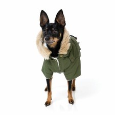 FuzzYard Jacke Hunde Hipster Green