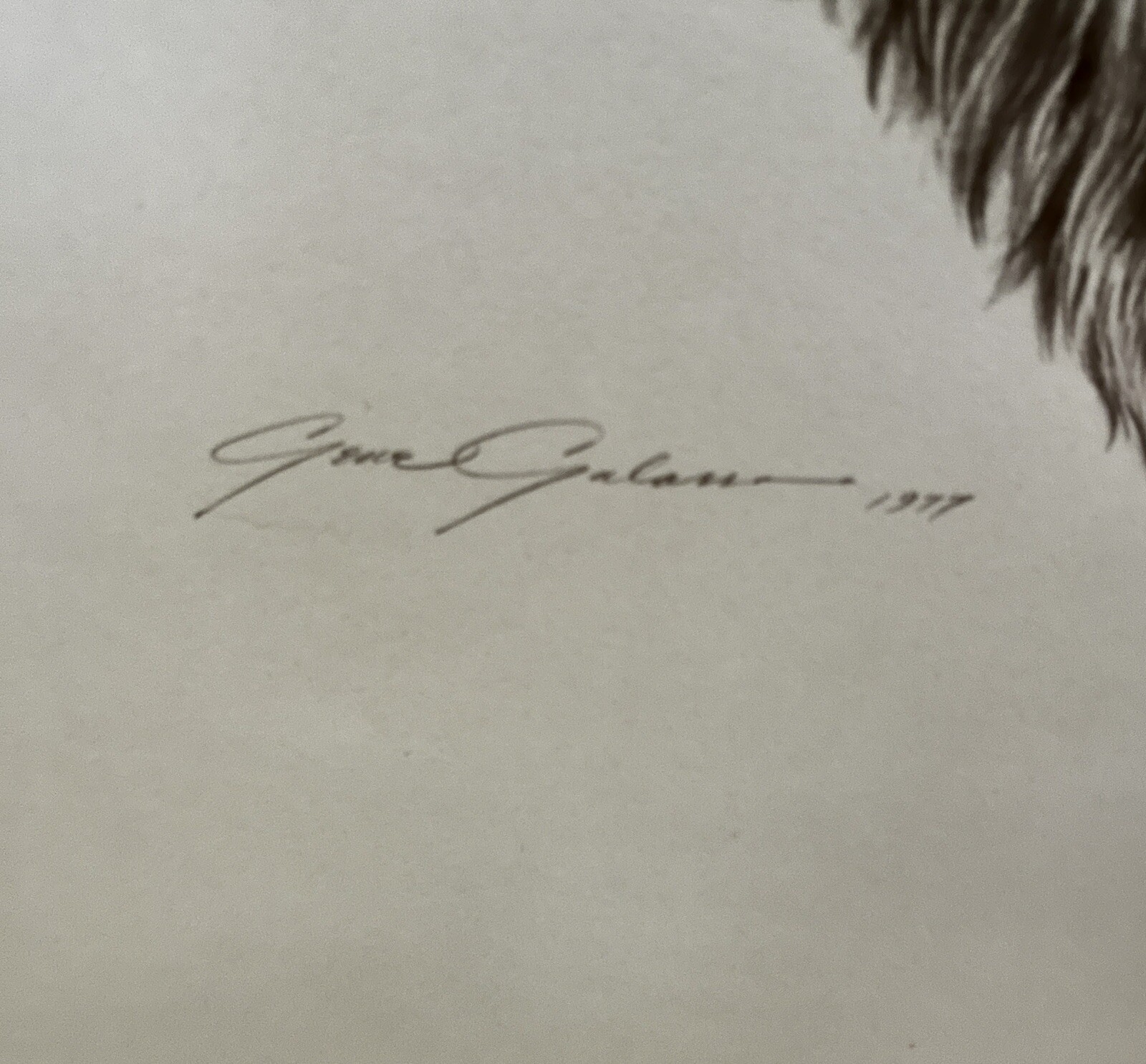 1977 Signed Gene Galasso L/E Bear Framed Print North American Big Game