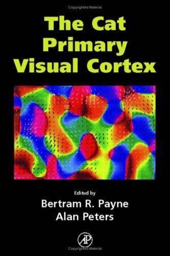 The Cat Primary Visual Cortex Payne Peters Hardback Academic Press 9780125521048