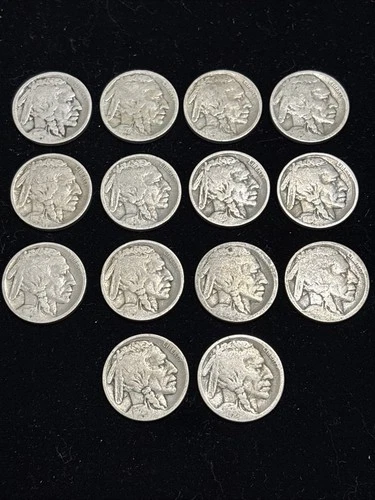BUFFALO NICKEL LOT OF 14 No Date Coins C-99