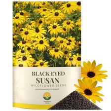 SunHaven Seeds Black Eyed Susan Seeds – 100,000+ Seeds – 1 oz Bulk Extra Larg... 224.16 per gallon