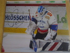 TIM METZGER SIGNED 8X10 MATTE PHOTO EVERETT SILVERTIPS (B)