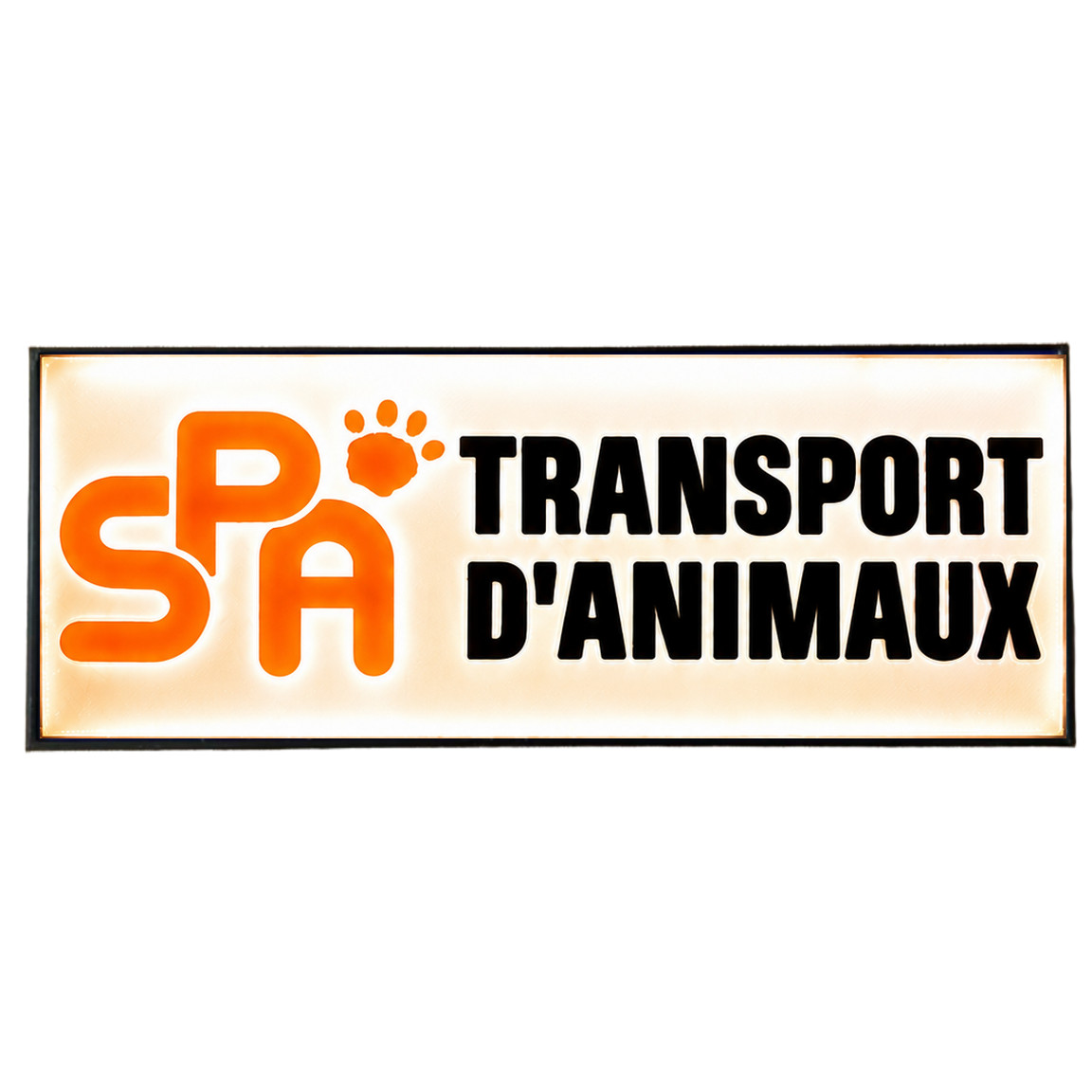 Pare-soleil lumineux LED SPA transport d'animaux visible de nuit avec éclairage puissant