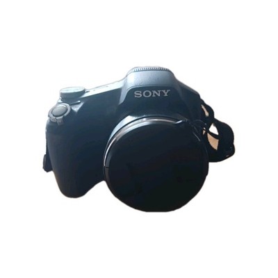 Sony Cyber-shot DSC-HX100V 16.2MP Digital Camera - Black