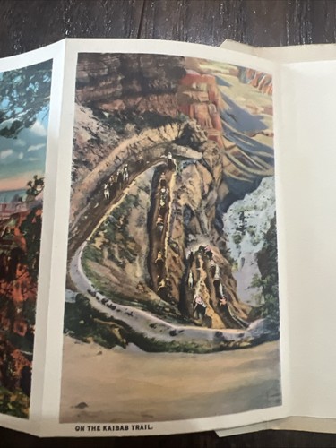 Folleto de postal desplegable de colección Curt Teich & Co Gran Cañón Bosque Kaibal sin usar - Imagen 4 de 11