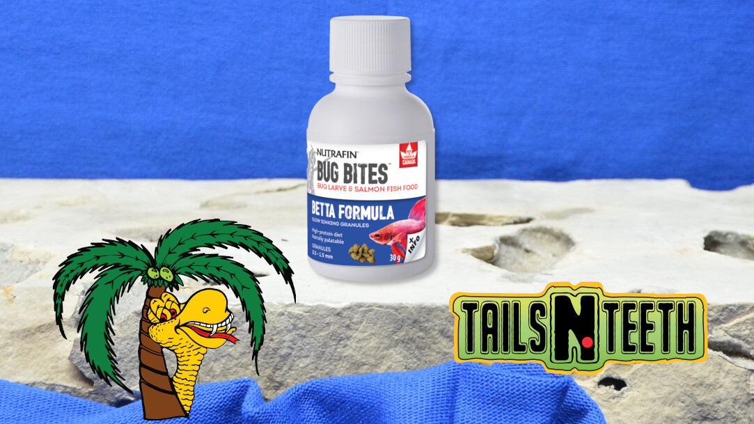 bug bites betta formula