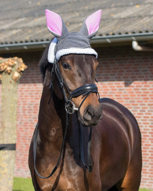 QHP Easter bunny ears horse hat - 3 sizes