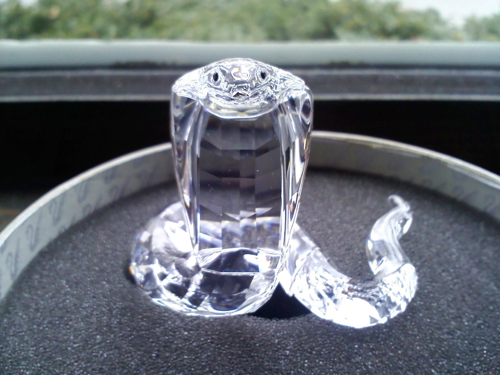 Authentic Swarovski Cobra for Year of the Snake MINT in Box with Certificate