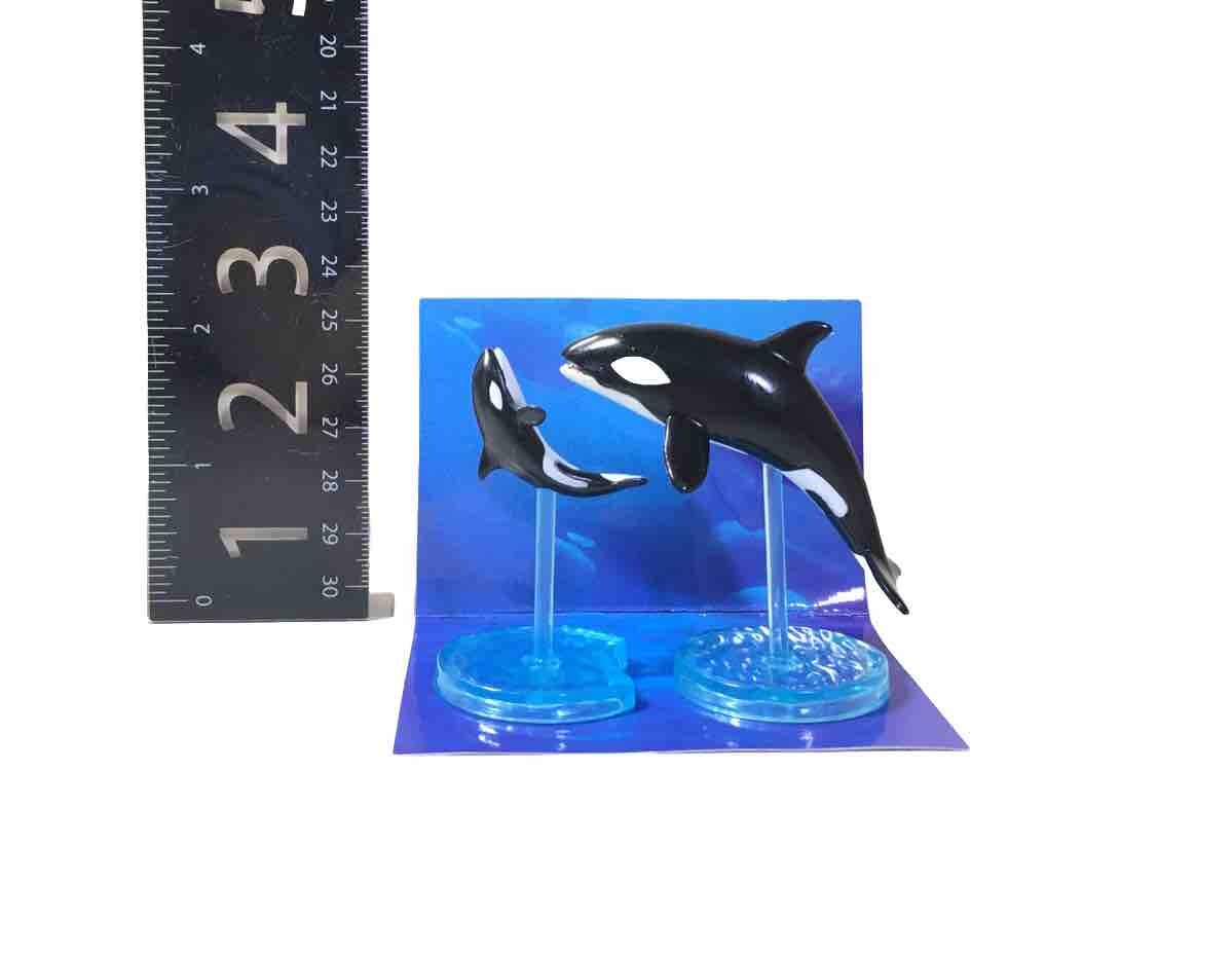 Killer Whale 完成品 Amazon.com: Safari Ltd. Killer Whale (Orca) Figurine
