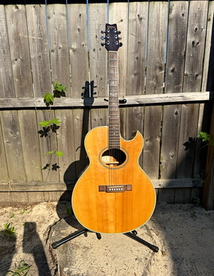 Washburn George Washburn Festival EA10N Jumbo 6-String Acoustic-Electric