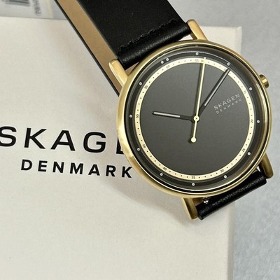 【新品/SIGNATUR】SKAGEN SKW6897 Skagen Signatur SKW6897 Watch 40mm Leather Strap with for