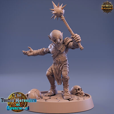 Goblin Raug with Mace, D&D Wargames Fantasy Warrior Goblin Fighter Miniature