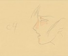 The Twelve Kingdoms Juuni Kokki Genga Douga Original Sketches Pierrot - Youko — photo 8