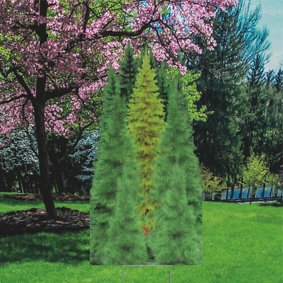 YS3011 Nature Tree Group Forest Plastic Outdoor Yard Sign Lawn Sign ...
