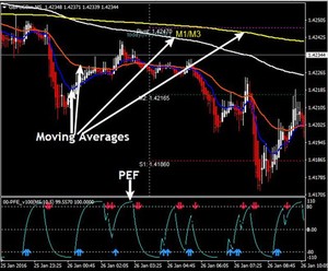 Details About Pfe Scalping High Frequency Forex Trading System - 