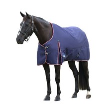 Weatherbeeta Comfitec Essential 220g Horse Turnout Rug, Standard Neck , 1200den