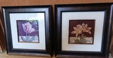 Pair Framed Tulip Wall Art Prints Floral Home...