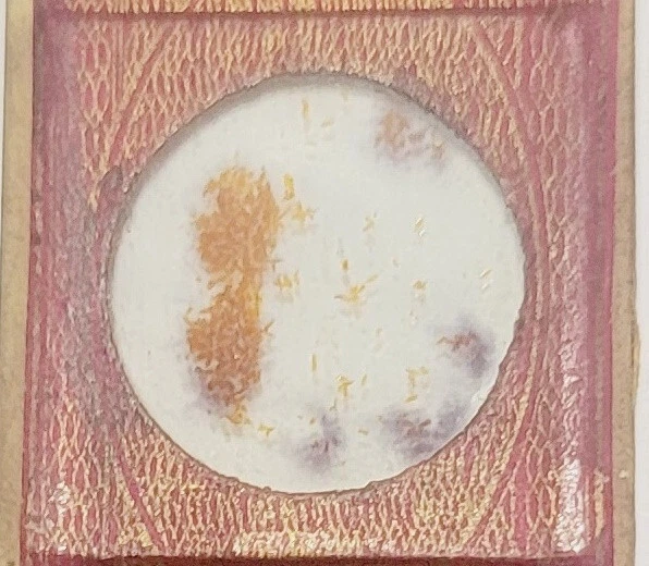 Старинный слайд микроскопа от J. Amadio - Лондон "Биохромат калия". образец - Изображение 4 из 4