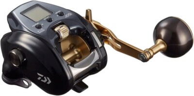 Daiwa 21 SEABORG G300J Right Handle 6.0 Electric Reel NEW | eBay