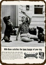 1959 DACHSHUND Dog & MILK BONE Treats Vintage-Look DECORATIVE REPLICA METAL SIGN