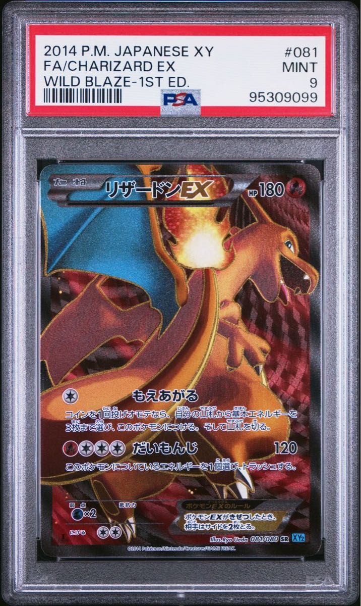 PSA 9 Pokemon Card Charizard EX Wild Blaze 1st Edition Holo PSA 9 Pokemon Card Charizard EX Wild Blaze 1st Edition Holo