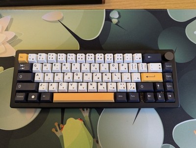 Custom Mechanische Tastatur GMK67 / Custom Mechanical Keyboard Thock