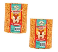 Flaming Hot Feast Spicy Bird Seed Cylinder, 2-Pack, 4 4.19 Pound Pack of 2 