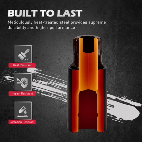 HORUSDY 16Pcs Torx Star Bit Socket Set Magnetic Socket Rail Organizer T8-T60 - Picture 5 of 10
