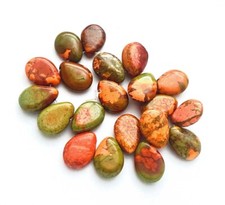 20 Maple Colorful Turquoise Teardrop Briolette Beads 14x10mm