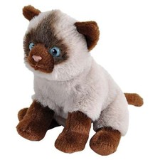 NUEVO Wild Republic Pocketkins ECO Lindo Gato Siamés 5" Juguete de Peluche Animal de Peluche