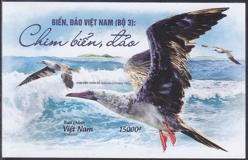 Vietnam 2022 Imperforated (1159B) Sea Birds - 第 1/1 張圖片