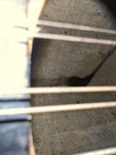 Picture 22 of 22