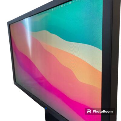 EIZO FORIS FG2421 Gaming Monitor | eBay