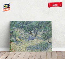 Vincent Van Gogh Olive Orchard Painting Canvas Print Poster Home Decor