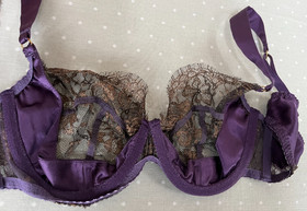 Agent Provocateur Soiree 34D bra deep purple silk bronze lace NEW dragonfly