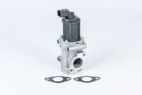 BorgWarner (Wahler) 710772D Agr-Ventil Passend FüR Fiat Lancia