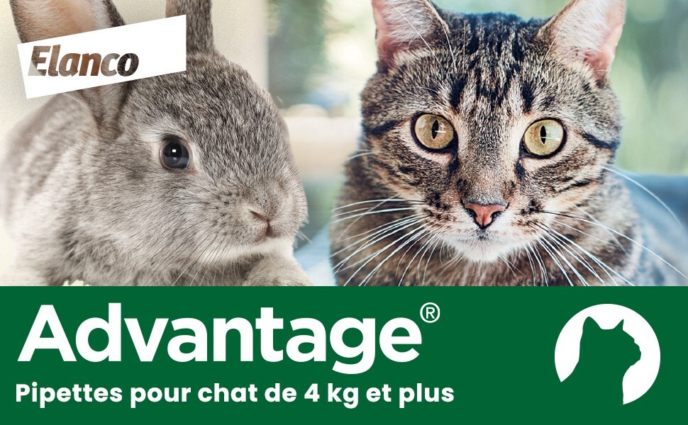 ADVANTAGE¹40 80 Chat Cat Anti Puce Flea Treatment 1 à 8 Kg Boite 4 Pipettes - Foto 12