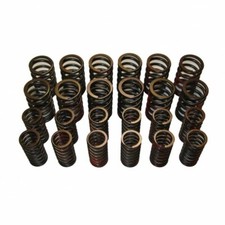 New Set Of Dual Valve Springs For Mga Mgb Best Quality