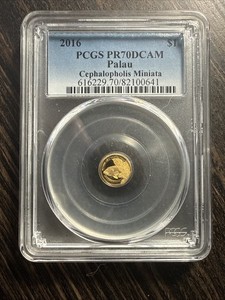 2016 Palau Gold .999 Cephalopholis Ministra $1 Pcgs Pr70dcam