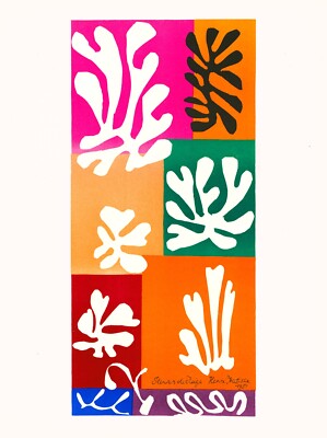 ''Fleurs de Neige'' from the ''Last Works of Henri Matisse'' (Verve 35-36)