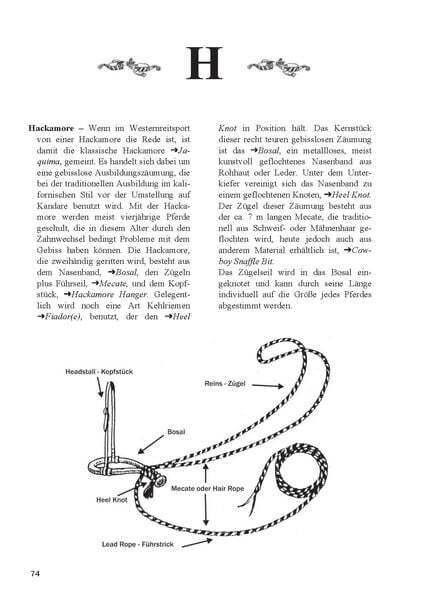 Thumbnail - Lexikon Westernreiten