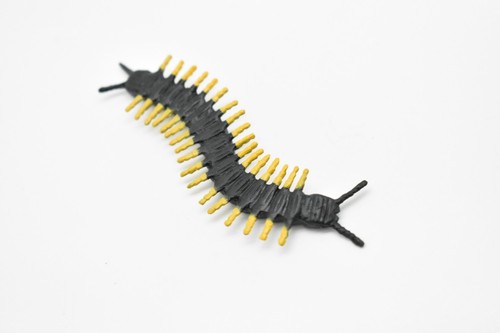 Centipede, schwarz, Kunststoff Spielzeug Tier, Kinder Geschenk, realistische Figur, 3" CWG296 - Bild 4 von 9