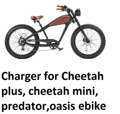  battery  ac adapter Charger for revi bikes cheetah plus, predator, oasis ebike