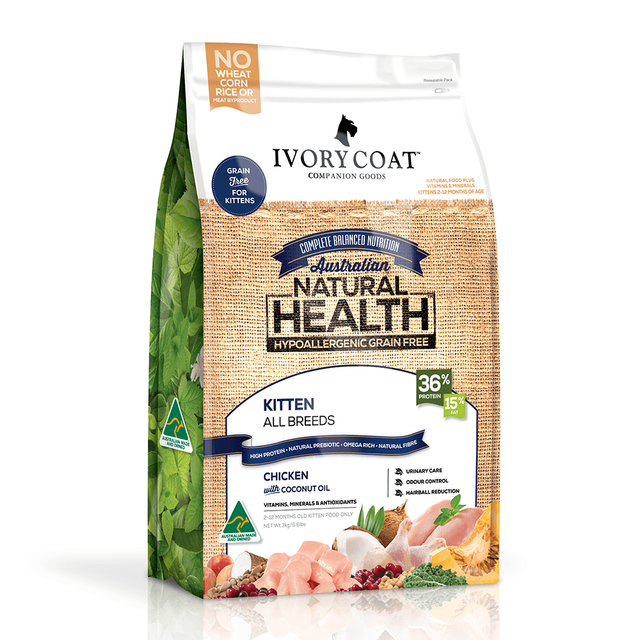 dog not eating and not pooping