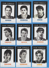 91-92 PINNACLE SERIES B,(9 CARDS) GRETZKY, ROY, LEMIEUX, HULL, ROBITAILLE, NEELY