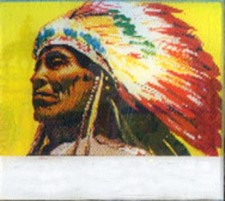 Indian Chief / Cowboys on Hill Small VARI-VUE Lenticular Flicker